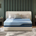 EGOHOME Queen Mattress, 14 Inch Hybrid Gel Memory Foam, Medium Plush